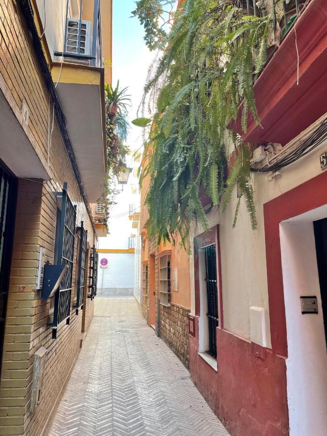 Barrio De Santa Cruz, La Juderia. Zona Inmejorable Διαμέρισμα Σεβίλλη Εξωτερικό φωτογραφία
